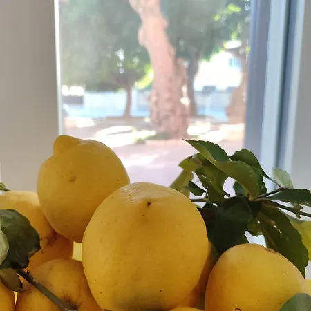 Marina Da Pina Apartmán *