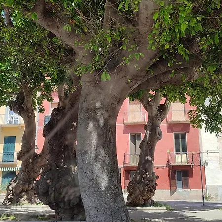 Marina Da Pina Apartmán Trapani