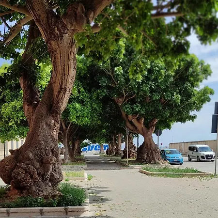 Marina Da Pina